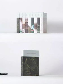 设计印刷品常用尺寸规格及纸张制作工艺大全