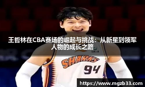 王哲林在CBA赛场的崛起与挑战：从新星到领军人物的成长之路